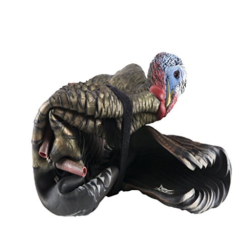 AvianX LCD 1/2 Strut Jake Turkey Decoy Crossbow Supplies