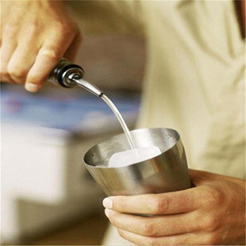 Botrong Liquor Spirit Pourer Flow Wine Bottle Pour Spout Stopper Stainless Steel Cap (C)