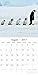 Cute Animals- Penguins 2017 Monthly Wall Calendar, 12