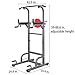 RELIFE REBUILD YOUR LIFE Power Tower Workout Dip Station for Home Gym Strength Training Fitness Equipment Newer Version