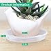 EFFECTEER Plant Saucer, 5 Pack, 15 inch, Round Plant Trays for Indoors, Clear Plastic Plant Pot Saucers, Durable Flower Pots with 5 Plant Labels (15” – 5 Pack)thumb 1