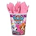 Girl Paw Patrol Party Supplies and Decorations Pack for 16 With Plates, Napkins, Tablecover, Cups, 6 Balloons, Birthday Banner, and Exclusive Paw Birthday Pin By Another Dream