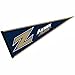 University of Akron Pennant Full Size Felt