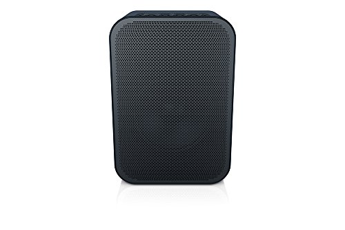 Bluesound PULSE FLEX Portable Wireless Multi-room Smart Speaker with Bluetooth - Black