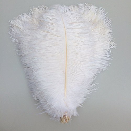 KOLIGHT 40pcs 12''~14''(30~35cm) Natural Ostrich Feathers for DIY Home Wedding Party Office Decoration (White)