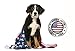 Pet Eden Sweet Potato Dog Treats Made in USA Only, Grain Free Natural Healthy Snack Chews for All Dogs, 1 lb