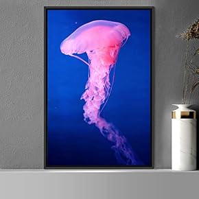 signwin Framed Canvas Wall Art Jellyfish Bedroom Colorful...