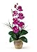 Nearly Natural Phalaenopsis Silk Orchid Flower Arrangement