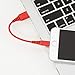 Amazon Basics MFi-Certified Lightning to USB A Cable for Apple iPhone and iPad - 4 Inches (10 Centimeters) - Red