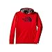 The North Face NFP Surgent Logo Hoodie Boys