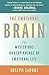 The Emotional Brain: The Mysterious Underpinnings of Emotional Life