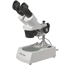 AmScope SE306R-PZ Forward Binocular Stereo Microscope, WF10x and WF20x Eyepieces, 10X-80X Magnification, 2X and 4X Objectives, Upper and Lower Halogen Light Source, Pillar Stand, 120V