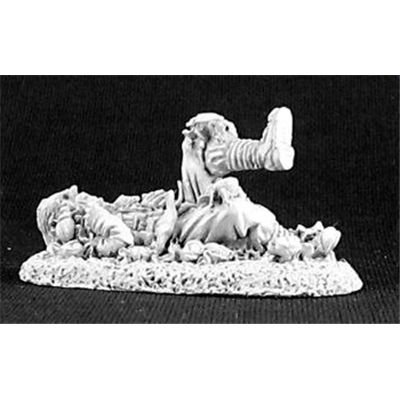 Beetle Swarm and Victim