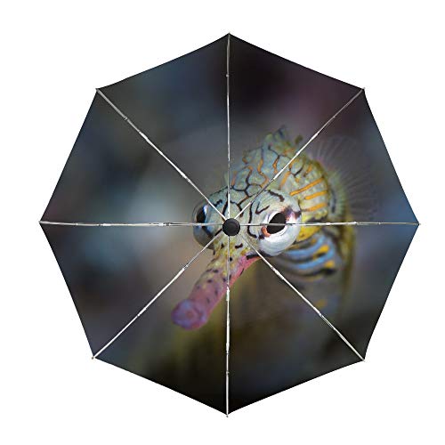 Pipe Dream Compact Travel Umbrella Windproof, Unbreakable, Auto Open and Close for Men and Women