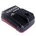 Biswaye 19.2V Battery Charger Replacement for Craftsman 19.2V C3 Lithium-ion Battery & NiCd NiMh Battery 315.113753 11375 11376 130279005 315.PP2011 Dual Chemistry C3 Battery Charger