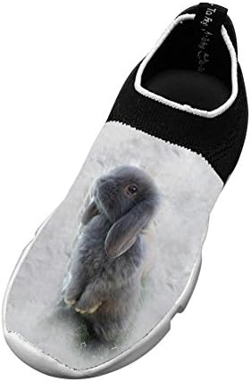 Sports Flywire Weaving Jogging Shoes For Unisex Children,Print Gray Rabit,2 B(M) Us Big Kid