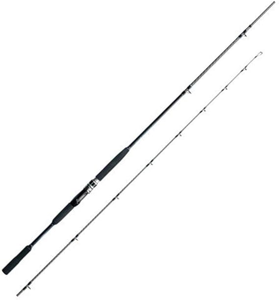 ヒラメの釣り方を徹底解説 抜群の食味のヒラメ釣りの魅力を知ろう Fish Master フィッシュ マスター