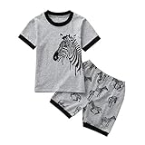 Hot Sale! Toddler Kids Baby Boys Dinosaur Pajamas