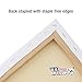 U.S. Art Supply 8x10 inch Stretched Canvas for Painting Super Value 10-Pack - Triple Primed Professional Artist Quality White Blank 5/8
