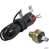 Raypak Heater Hi Limit 140° Auto Gas Shut-Off 600893B