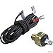 Raypak Heater Hi Limit 140° Auto Gas Shut-Off 600893B