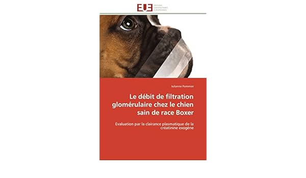 Le Débit De Filtration Glomérulaire Chez Le Chien Sain De