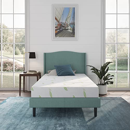 NapQueen Anula, Twin-XL 6'' Green Tea Memory Foam