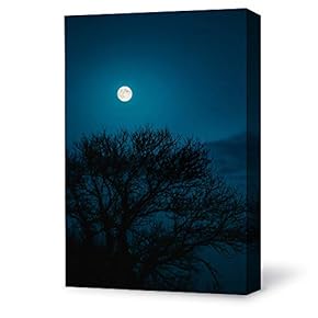 Canvas Wall Art Bright Moon Shining Forests Painting Artwork for Home Prints Framed - 12x18 inches