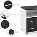 Tribesigns Wood File Cabinet, 2 Drawer Storage Printer Stand, Mobile Lateral Filing Cabinet with Locks and Wheels, Open Storage Shelves for Study, Home Office (Black&White)