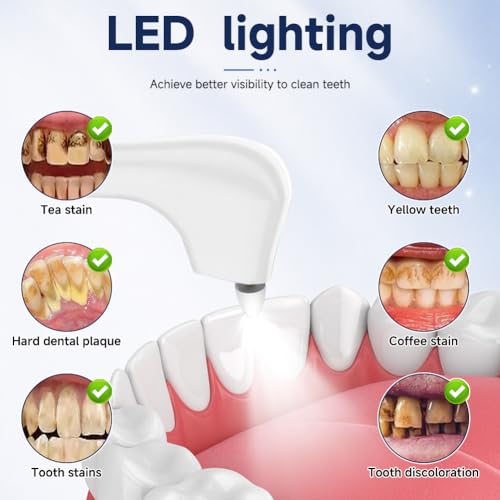 Professional Teeth Whitening Tartar Remover Kit with 5 Modes Teeth Cleaning Whitening Teeth Polisher with 6 Polishing and Whitening Accessories