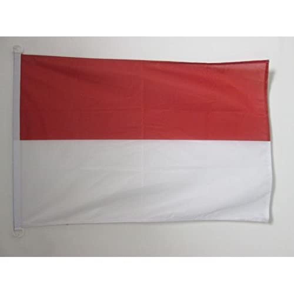 AZ FLAG - Indonesia Flag - 2x3 Ft - For Outdoor - Indonesian Banner Knitted Polyester with Two Plastic Rings - Fade Resistant - Vivid Colors - 2' x 3' Feet - 90x60 Cm