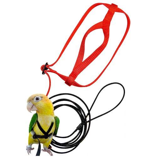 Yestter Elegant Adjustable Anti-Bite Harness and Lead for Pet Birds, Parrots, African Grey, Cockatoos, Yellow Ring Neck, Budgie, Cockatiel