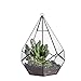 NCYP Hanging Glass Geometric Terrarium for Succulent - 6.8