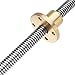 Farwind T10 Trapezoidal Lead Screw 500mm with Brass Nut