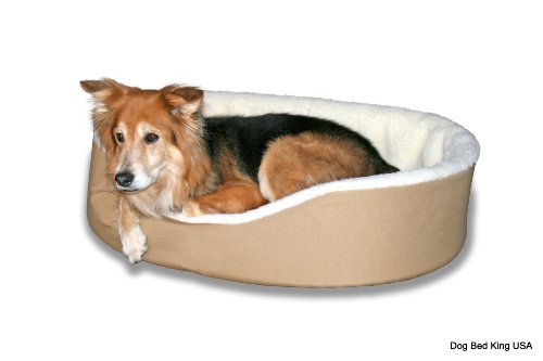 Best Ortho Sofa Bed Tan