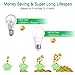 A19 LED Light Bulbs, 100 Watt Equivalent LED Bulbs, 5000K Daylight White, 1100 Lumens, Standard E26 Medium Screw Base, CRI 85+, 25000+ Hours Lifespan, No Flicker, Non-Dimmable, Pack of 12