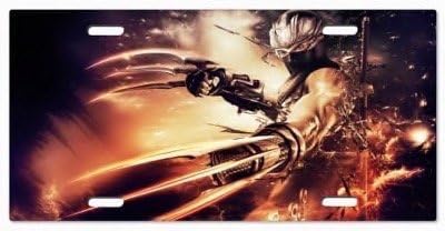 Ninja Gaiden 3 Vanity License Plate