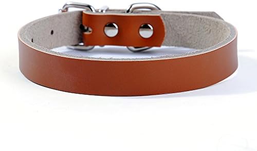 Fashion Shop Classic Genuine Leather Dog Collar With Buckle for Small Medium and Large Dogs (XS, Brown)
