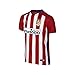 Nike Mens Athletico Madrid Home Stadium Jersey [VARSITY RED] (XL)