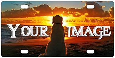 Personalized License Plate with Your Image - Custom License Plates Auto Car Tag - Metal for Front of Car License Plate Covers