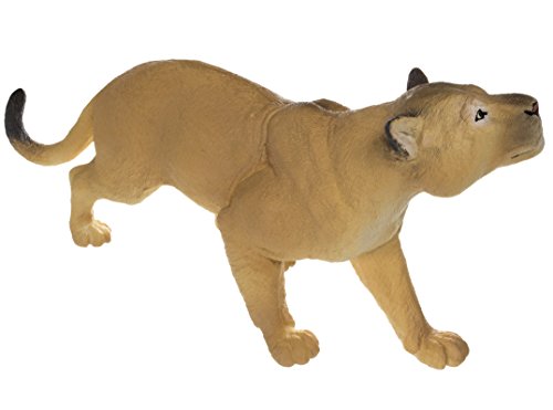 Wildlife Wonders: Puma concolor
