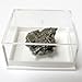 Small Hunk of Genuine Campo Del Cielo Iron Meteorite with Full Color Beverly Oaks LLC Certificate of Authenticity Info Card
