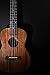 Caramel CT402 All Solid Mahogany Tenor Acoustic Electric Ukulele With Truss Rod