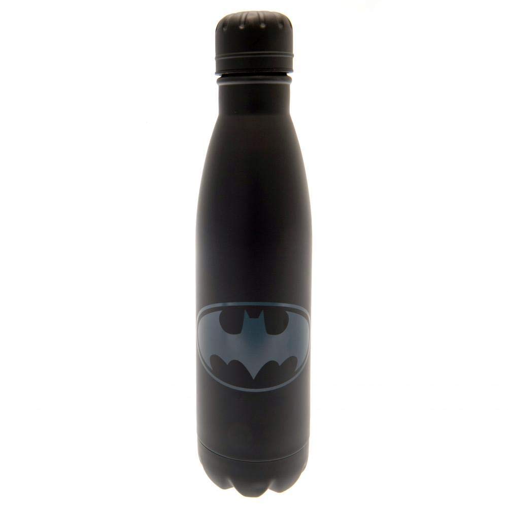 DC Comics - MDB25541 - Unisex Adult Steel Water Bottle - 500 ml - Multi-Colour