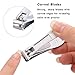 Nail Clippers Key Chain Set- Sturdy & Elegant Set of 2 Stainless Steel Fingernail Clippers +1 Keychain, Sharp and Durable, Great Gift for Women, Men, and Family