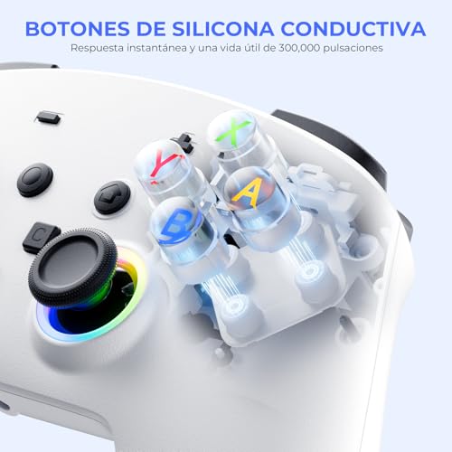 ECHTPower 2026 Mando para Switch 2, Hall Joysticks, Despertar de Switch 2 / NS1, Turbo, Botones Traseros, Luz RGB, Vibración y Giroscopio, Mando Pro Inalámbrico para Switch 2/1/PC/iOS/Android
