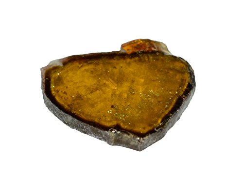 Bicolor Tourmaline polished gemstone slab 23.58 carat