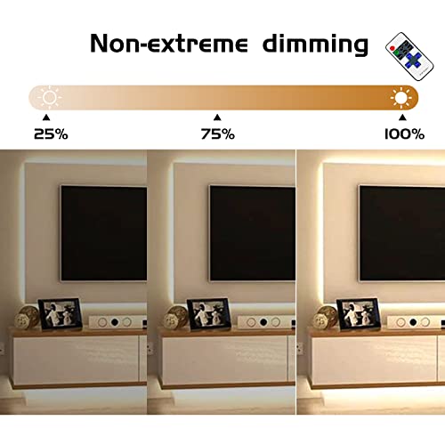 Tkifoda Neon LED Strip Light with Remote and Connector Kit, 16.4ft/5m Waterproof LED Neon Flex, 3000K Silicone Flexible DIY Rope Light for Home, Party, Wedding (No Power Adapter)