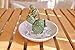 PUDDING CABIN Cactus Christmas Gifts for Women Cactus Ring Holder Dish Birthday Gifts for Women Girls Friends, Cactus Decor for Bathroom Nighstand, Wedding Valentine's Day Xmas Gifts Mothers Day Gifs