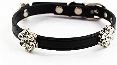 Mora Pets Cute Diamond Flower Designer Collar│Pretty, Soft and Durable Leather Collar for Puppies, Small Dogs and Cats│6 Colors Available